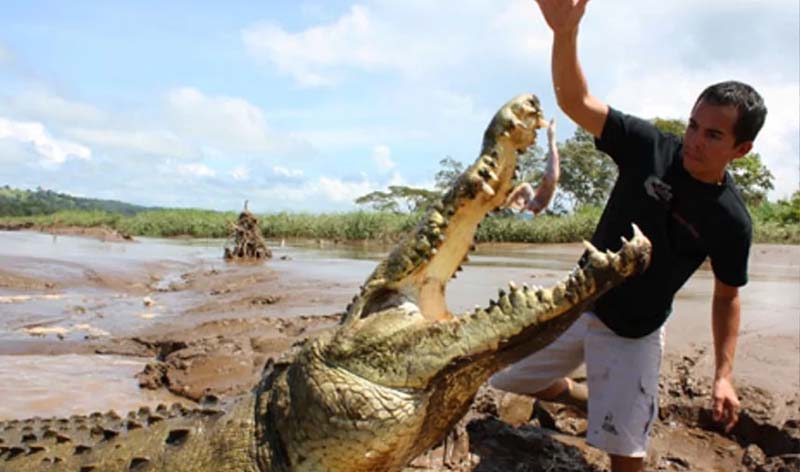 Crocodile Tour in Jaco Costa Rica